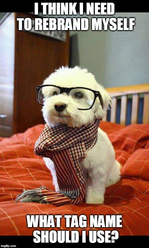 Intelligent Dog Meme | I THINK I NEED TO REBRAND MYSELF; WHAT TAG NAME SHOULD I USE? | image tagged in memes,intelligent dog | made w/ Imgflip meme maker