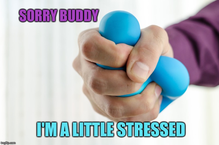 SORRY BUDDY I'M A LITTLE STRESSED | made w/ Imgflip meme maker