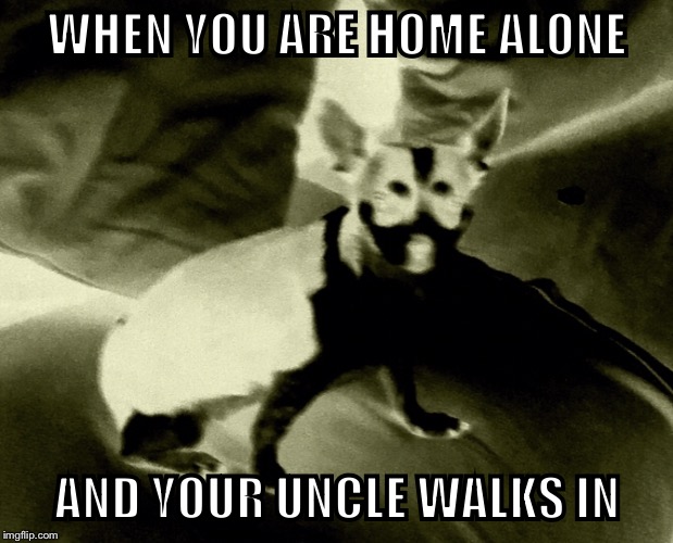 Candy Ded | WHEN YOU ARE HOME ALONE; AND YOUR UNCLE WALKS IN | image tagged in candy ded | made w/ Imgflip meme maker