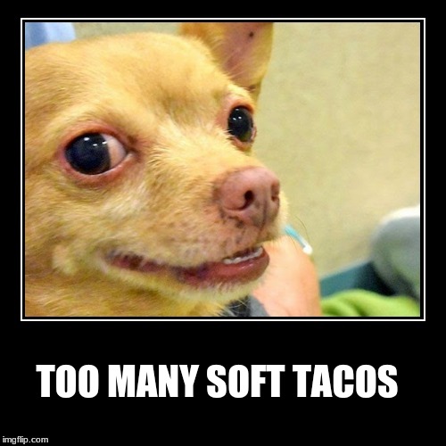 There are consequences | TOO MANY SOFT TACOS | image tagged in tacos,eating,poop,pooping,sorry | made w/ Imgflip meme maker