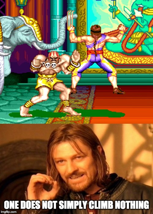 TAS runs are trippy! |  ONE DOES NOT SIMPLY CLIMB NOTHING | image tagged in memes,one does not simply,street fighter,wtf,climbing,video games | made w/ Imgflip meme maker