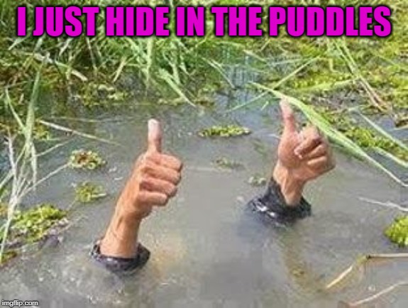 I JUST HIDE IN THE PUDDLES | made w/ Imgflip meme maker