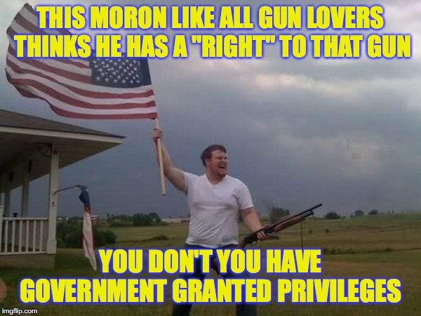 American flag shotgun guy | THIS MORON LIKE ALL GUN LOVERS THINKS HE HAS A "RIGHT" TO THAT GUN; YOU DON'T YOU HAVE GOVERNMENT GRANTED PRIVILEGES | image tagged in american flag shotgun guy | made w/ Imgflip meme maker