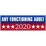 High Quality Any functioning adult in 2020 Blank Meme Template