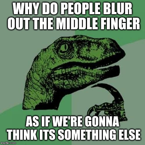 Philosoraptor | WHY DO PEOPLE BLUR OUT THE MIDDLE FINGER; AS IF WE'RE GONNA THINK ITS SOMETHING ELSE | image tagged in memes,philosoraptor | made w/ Imgflip meme maker