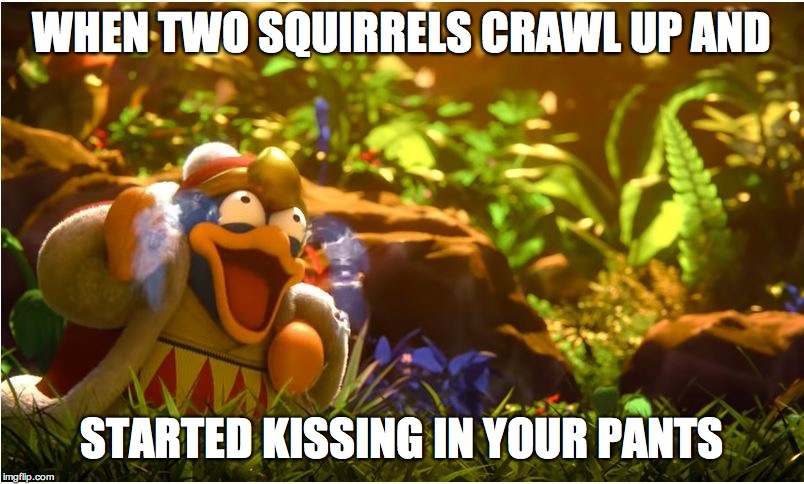 King Dedede | WHEN TWO SQUIRRELS CRAWL UP AND; STARTED KISSING IN YOUR PANTS | image tagged in king dedede | made w/ Imgflip meme maker