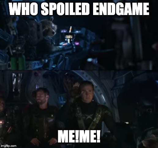Avengers Endgame | WHO SPOILED ENDGAME; ME!ME! | image tagged in avengers endgame | made w/ Imgflip meme maker