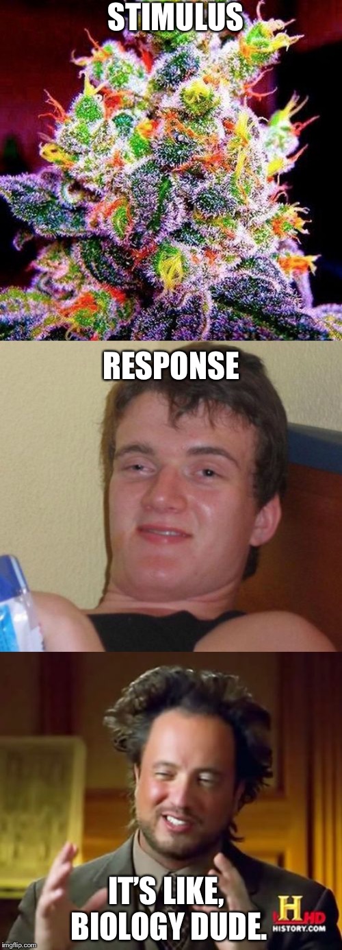 It’s like, biology | STIMULUS; RESPONSE; IT’S LIKE, BIOLOGY DUDE. | image tagged in memes,10 guy,ancient aliens | made w/ Imgflip meme maker