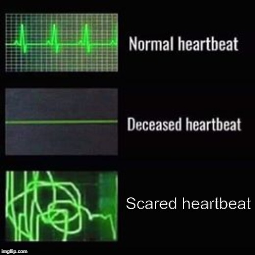 heartbeat rate | Scared heartbeat | image tagged in heartbeat rate | made w/ Imgflip meme maker
