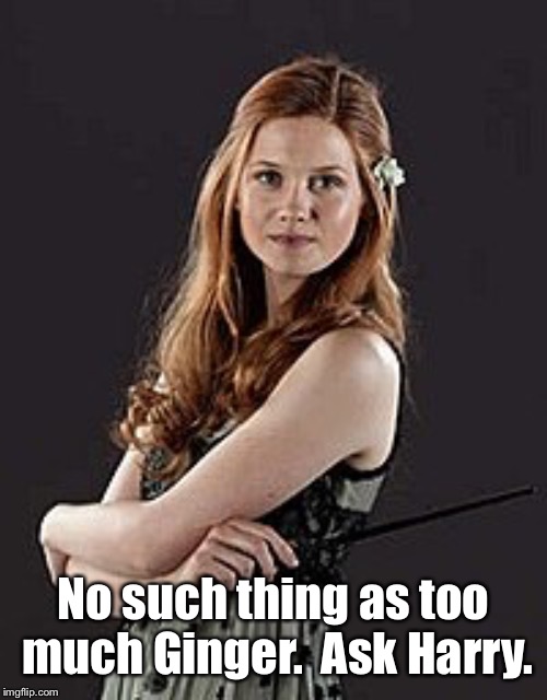 No such thing as too much Ginger.  Ask Harry. | made w/ Imgflip meme maker