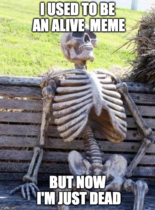 Waiting Skeleton Meme | I USED TO BE AN ALIVE  MEME; BUT NOW I'M JUST DEAD | image tagged in memes,waiting skeleton | made w/ Imgflip meme maker