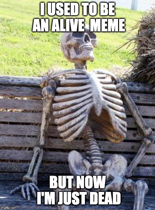 Waiting Skeleton | I USED TO BE AN ALIVE  MEME; BUT NOW I'M JUST DEAD | image tagged in memes,waiting skeleton | made w/ Imgflip meme maker