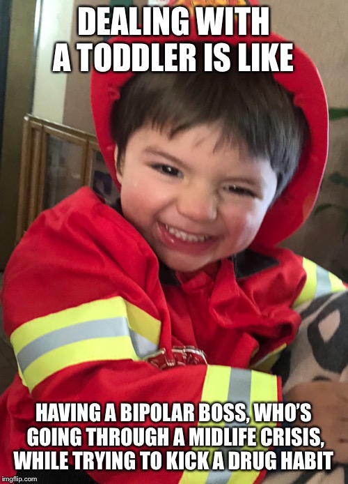 Toddler | DEALING WITH A TODDLER IS LIKE; HAVING A BIPOLAR BOSS, WHO’S GOING THROUGH A MIDLIFE CRISIS, WHILE TRYING TO KICK A DRUG HABIT | image tagged in toddler,angry toddler,boys,mom,kids,attitude | made w/ Imgflip meme maker