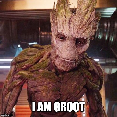groot-guardians-of-the-galaxy-memes-imgflip
