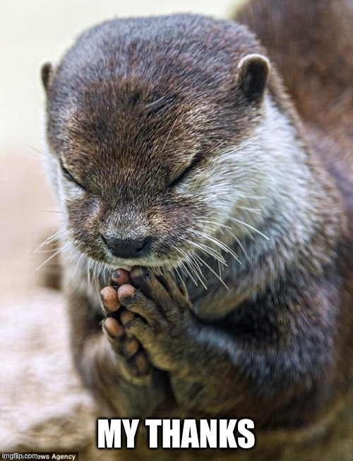 Thank you Lord Otter | MY THANKS | image tagged in thank you lord otter | made w/ Imgflip meme maker
