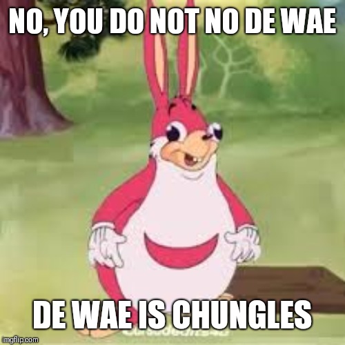 Ugandan chungles | NO, YOU DO NOT NO DE WAE DE WAE IS CHUNGLES | image tagged in ugandan chungles | made w/ Imgflip meme maker