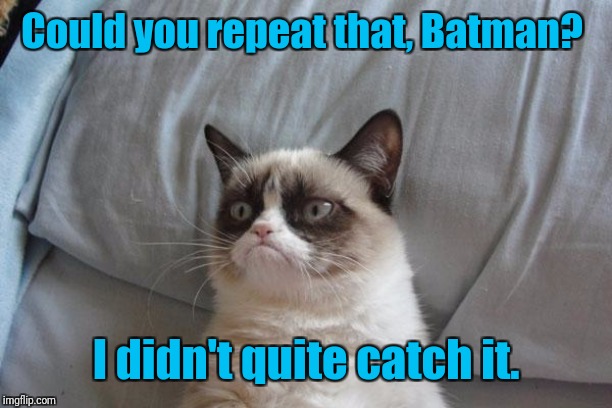 Grumpy Cat Bed Meme | Could you repeat that, Batman? I didn't quite catch it. | image tagged in memes,grumpy cat bed,grumpy cat | made w/ Imgflip meme maker