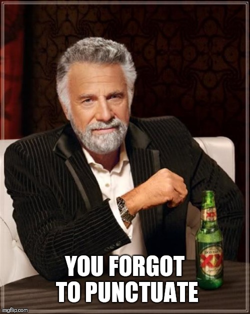 The Most Interesting Man In The World Meme | YOU FORGOT TO PUNCTUATE | image tagged in memes,the most interesting man in the world | made w/ Imgflip meme maker