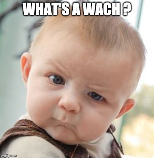 Skeptical Baby Meme | WHAT'S A WACH ? | image tagged in memes,skeptical baby | made w/ Imgflip meme maker