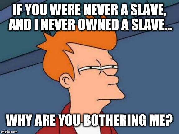 Futurama Fry Meme | IF YOU WERE NEVER A SLAVE, AND I NEVER OWNED A SLAVE... WHY ARE YOU BOTHERING ME? | image tagged in memes,futurama fry | made w/ Imgflip meme maker