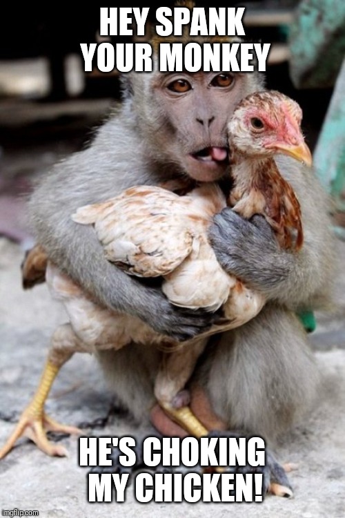 BIDEN 2020 | HEY SPANK YOUR MONKEY; HE'S CHOKING MY CHICKEN! | image tagged in biden 2020 | made w/ Imgflip meme maker