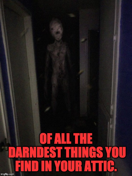 What hides in the closet | OF ALL THE DARNDEST THINGS YOU FIND IN YOUR ATTIC. | image tagged in what hides in the closet | made w/ Imgflip meme maker