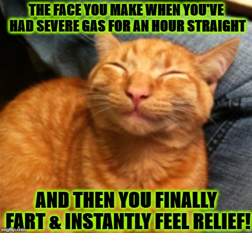 FACE YOU MAKE | THE FACE YOU MAKE WHEN YOU'VE HAD SEVERE GAS FOR AN HOUR STRAIGHT; AND THEN YOU FINALLY FART & INSTANTLY FEEL RELIEF! | image tagged in face you make | made w/ Imgflip meme maker