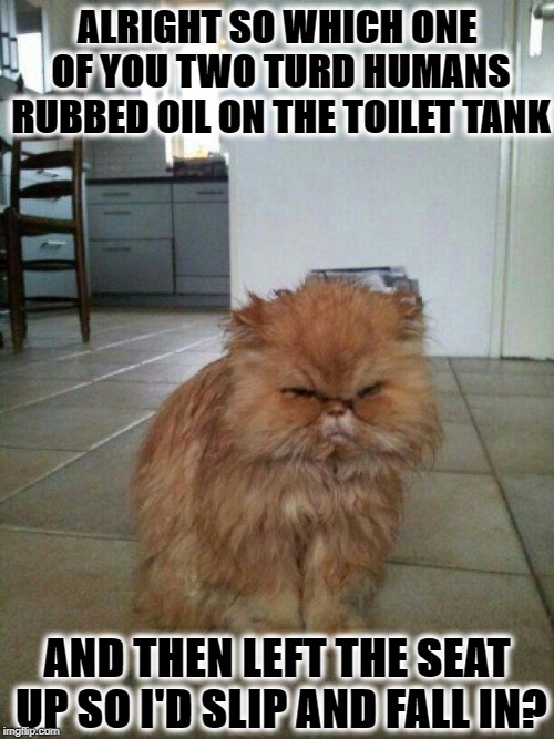 TOILET PRANK | ALRIGHT SO WHICH ONE OF YOU TWO TURD HUMANS RUBBED OIL ON THE TOILET TANK; AND THEN LEFT THE SEAT UP SO I'D SLIP AND FALL IN? | image tagged in toilet prank | made w/ Imgflip meme maker