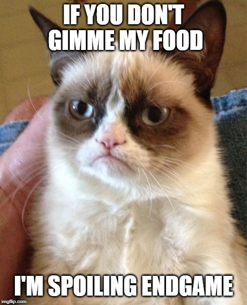 Grumpy Cat Meme | IF YOU DON'T GIMME MY FOOD; I'M SPOILING ENDGAME | image tagged in memes,grumpy cat | made w/ Imgflip meme maker