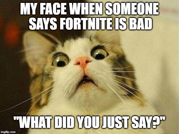 Scared Cat | MY FACE WHEN SOMEONE SAYS FORTNITE IS BAD; "WHAT DID YOU JUST SAY?" | image tagged in memes,scared cat | made w/ Imgflip meme maker