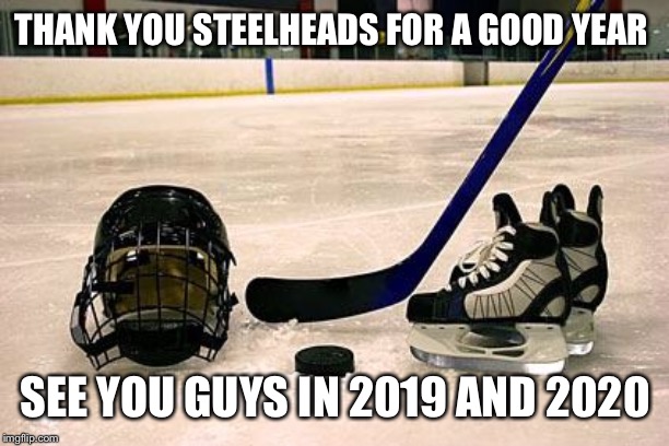 Hockey | THANK YOU STEELHEADS FOR A GOOD YEAR; SEE YOU GUYS IN 2019 AND 2020 | image tagged in hockey | made w/ Imgflip meme maker