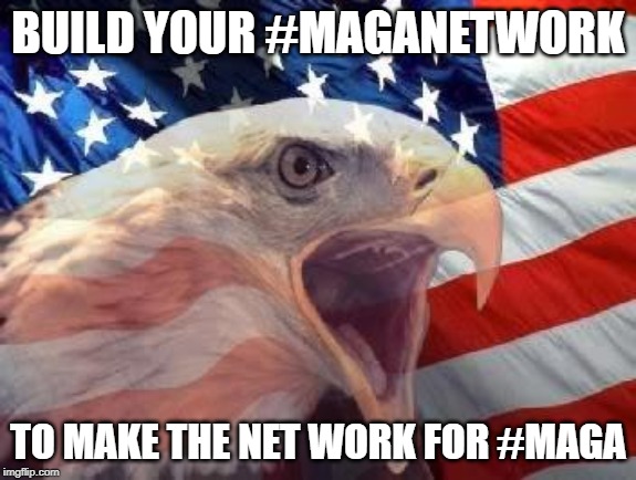 Patriotic Eagle | BUILD YOUR #MAGANETWORK; TO MAKE THE NET WORK FOR #MAGA | image tagged in patriotic eagle | made w/ Imgflip meme maker