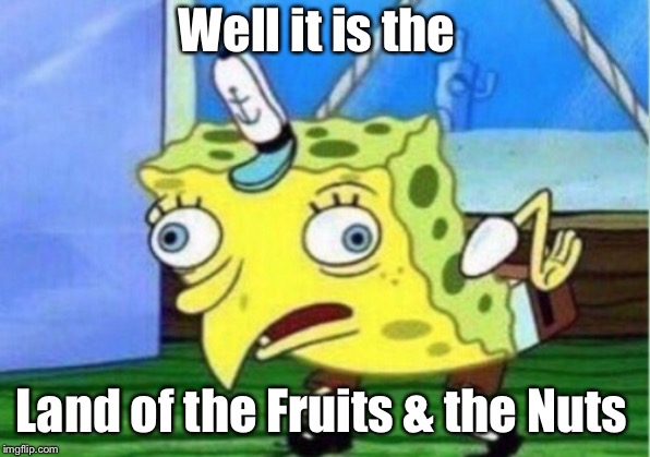 Mocking Spongebob Meme | Well it is the Land of the Fruits & the Nuts | image tagged in memes,mocking spongebob | made w/ Imgflip meme maker