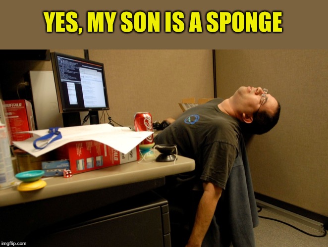 slacker | YES, MY SON IS A SPONGE | image tagged in slacker | made w/ Imgflip meme maker