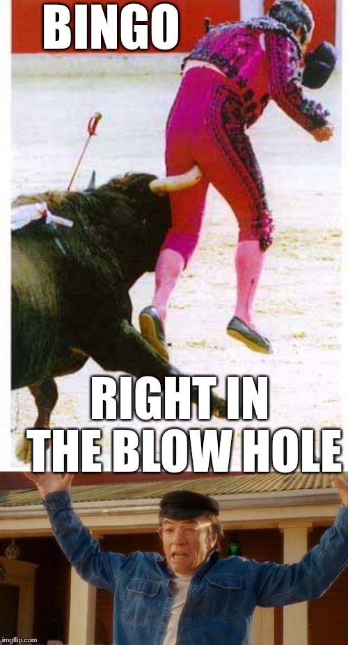  BINGO; RIGHT IN THE BLOW HOLE | image tagged in bullhorn swaggled,mr wong | made w/ Imgflip meme maker
