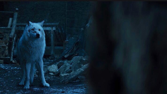 High Quality Ghost Game of Thrones Blank Meme Template