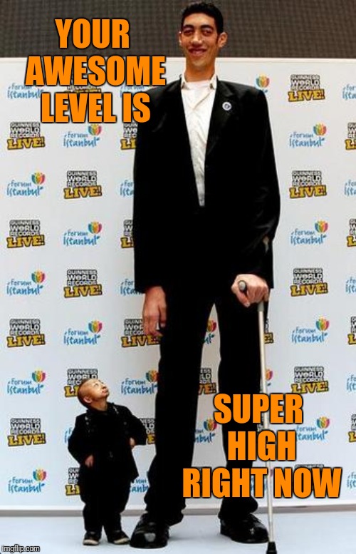 the tallest and shortest man in the world | YOUR AWESOME LEVEL IS SUPER HIGH RIGHT NOW | image tagged in the tallest and shortest man in the world | made w/ Imgflip meme maker