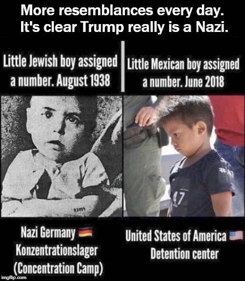 And if you enjoyed this meme, you might be one too. | More resemblances every day. It's clear Trump really is a Nazi. | image tagged in trump,nazi,concentration camp,children | made w/ Imgflip meme maker