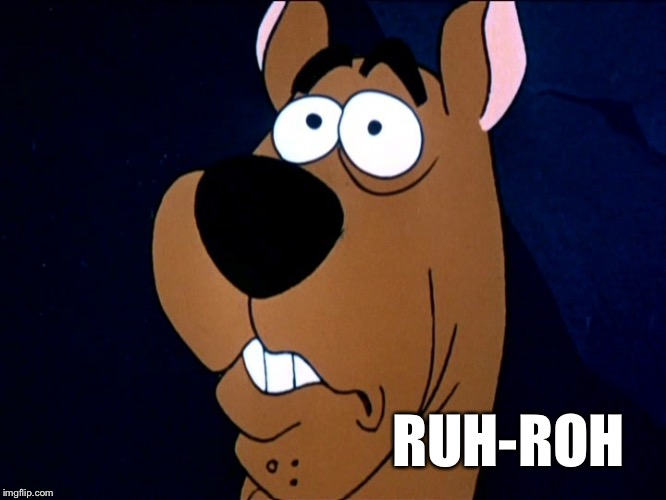 ScoobyDoo | RUH-ROH | image tagged in scoobydoo | made w/ Imgflip meme maker