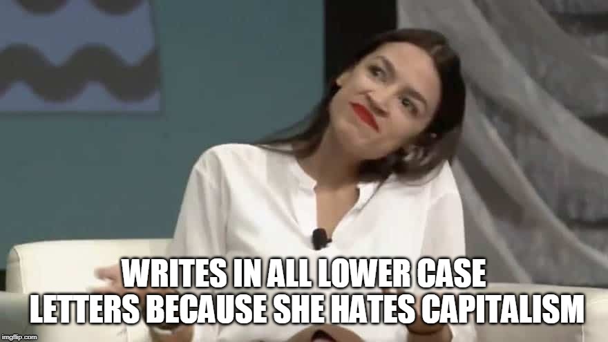 WRITES IN ALL LOWER CASE LETTERS BECAUSE SHE HATES CAPITALISM | image tagged in funny memes,goofy | made w/ Imgflip meme maker