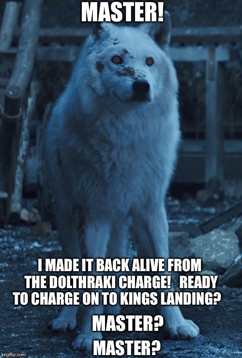Ghosted | MASTER! I MADE IT BACK ALIVE FROM THE DOLTHRAKI CHARGE!   READY TO CHARGE ON TO KINGS LANDING? MASTER? MASTER? | image tagged in got,game of thrones,ghost,jon snow | made w/ Imgflip meme maker