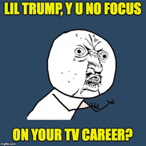 Y U No Meme | LIL TRUMP, Y U NO FOCUS ON YOUR TV CAREER? | image tagged in memes,y u no | made w/ Imgflip meme maker