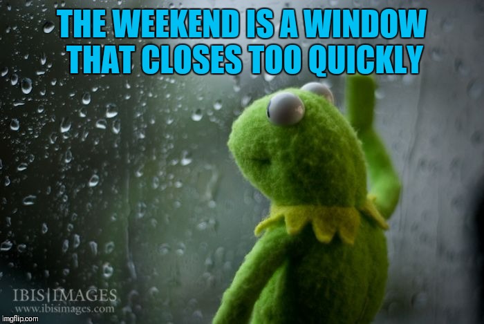 kermit window | THE WEEKEND IS A WINDOW THAT CLOSES TOO QUICKLY | image tagged in kermit window | made w/ Imgflip meme maker
