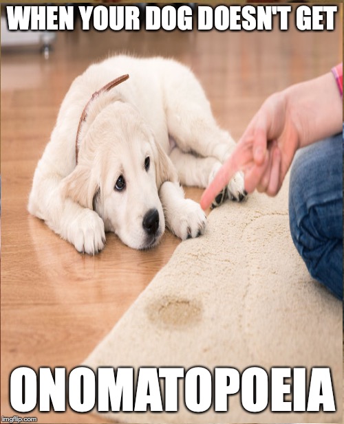 WHEN YOUR DOG DOESN'T GET; ONOMATOPOEIA | image tagged in dog | made w/ Imgflip meme maker