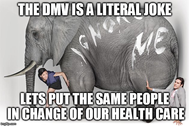 elephant in the room | THE DMV IS A LITERAL JOKE LETS PUT THE SAME PEOPLE IN CHANGE OF OUR HEALTH CARE | image tagged in elephant in the room | made w/ Imgflip meme maker