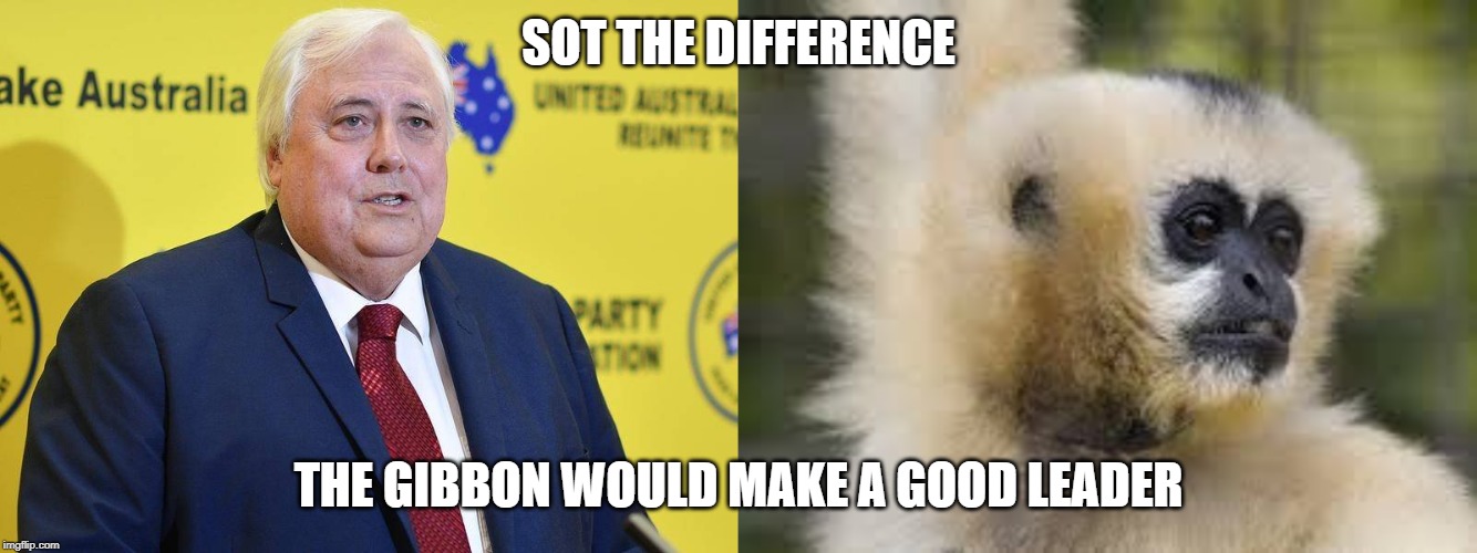 SOT THE DIFFERENCE; THE GIBBON WOULD MAKE A GOOD LEADER | image tagged in clive palmer | made w/ Imgflip meme maker