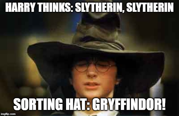 Harry Potter sorting hat | HARRY THINKS: SLYTHERIN, SLYTHERIN; SORTING HAT: GRYFFINDOR! | image tagged in harry potter sorting hat | made w/ Imgflip meme maker