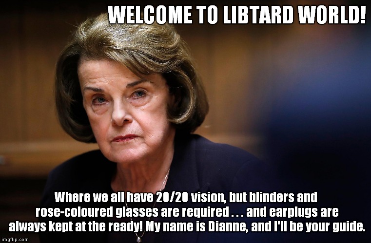 Brave New World? | WELCOME TO LIBTARD WORLD! Where we all have 20/20 vision, but blinders and rose-coloured glasses are required . . . and earplugs are always kept at the ready! My name is Dianne, and I'll be your guide. | image tagged in libtards,feinstein | made w/ Imgflip meme maker
