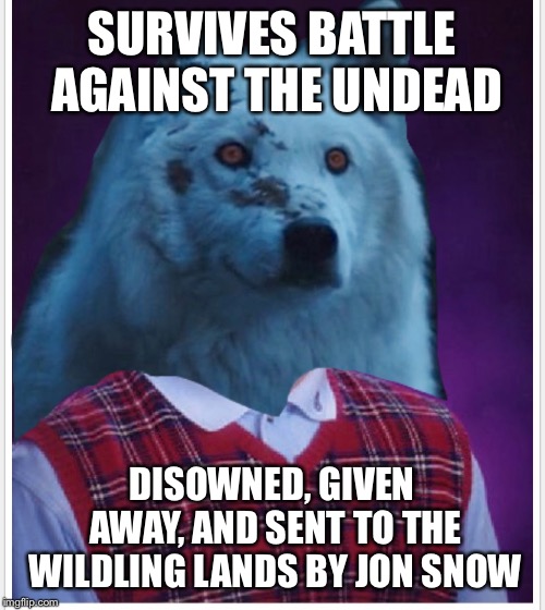 Tough break Ghost | SURVIVES BATTLE AGAINST THE UNDEAD; DISOWNED, GIVEN AWAY, AND SENT TO THE WILDLING LANDS BY JON SNOW | image tagged in ghost,game of thrones,jon snow | made w/ Imgflip meme maker