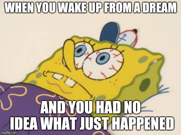 SpongeBob awake | WHEN YOU WAKE UP FROM A DREAM; AND YOU HAD NO IDEA WHAT JUST HAPPENED | image tagged in spongebob awake | made w/ Imgflip meme maker